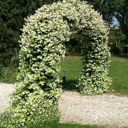 호텔 Mulinoantico D'epoca 트리비나노